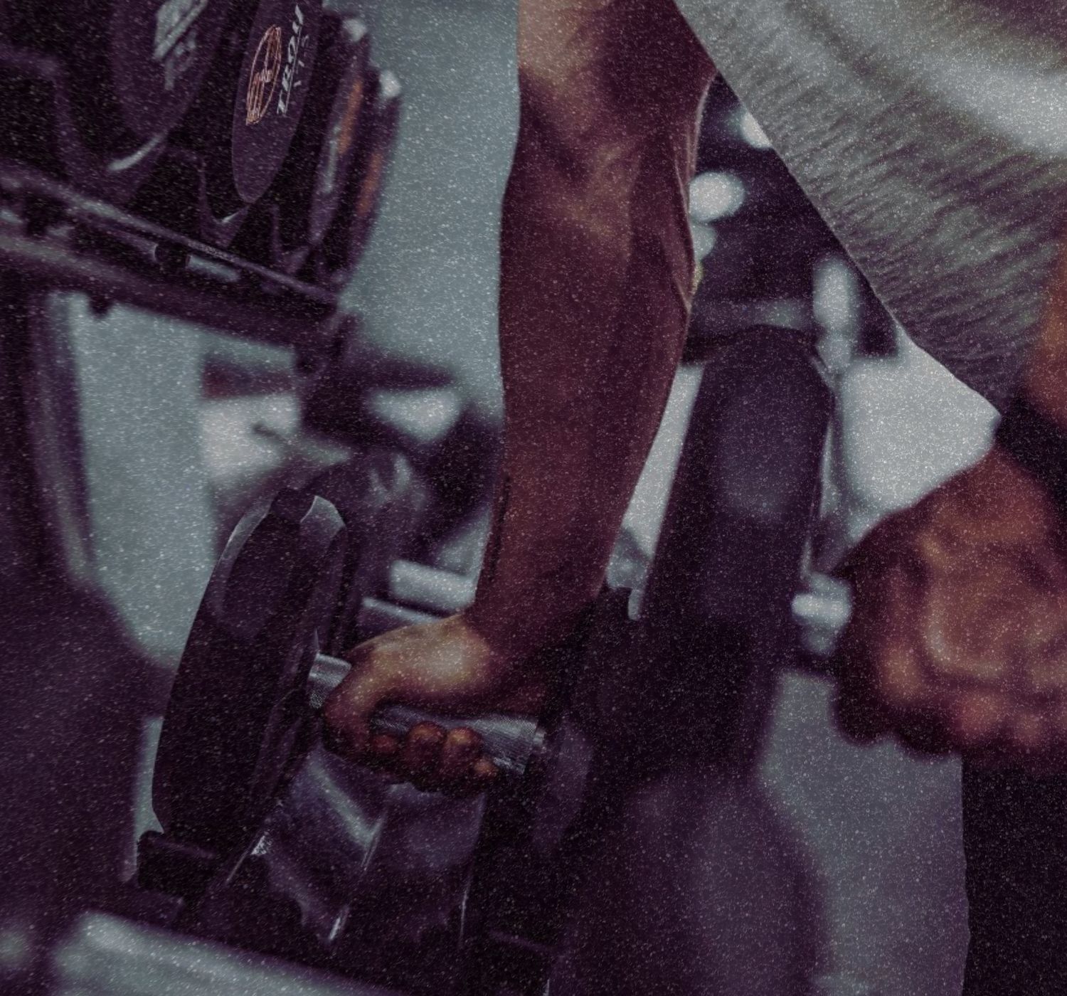 TREINO DE MUSCULAÇÃO LIVRE